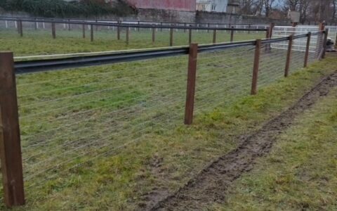 Horse wire fencing.